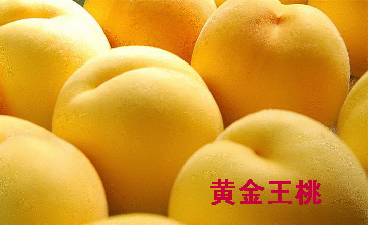 黄金王桃(图1)
