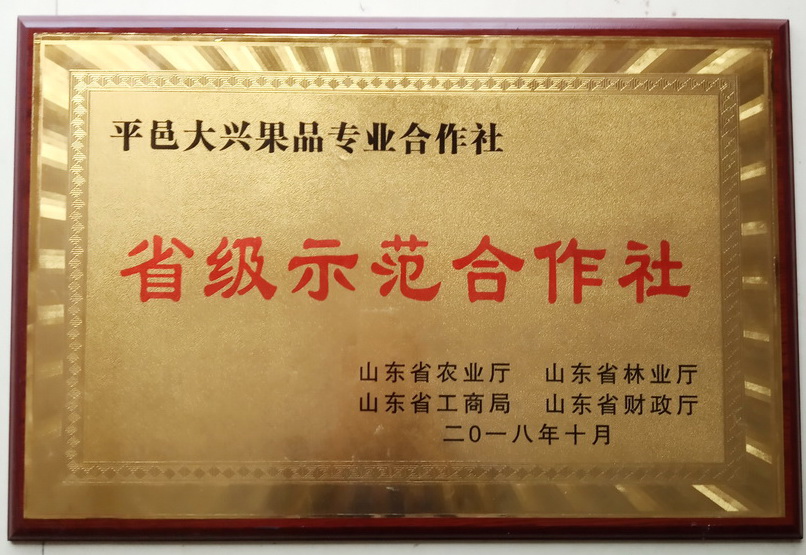 荣誉